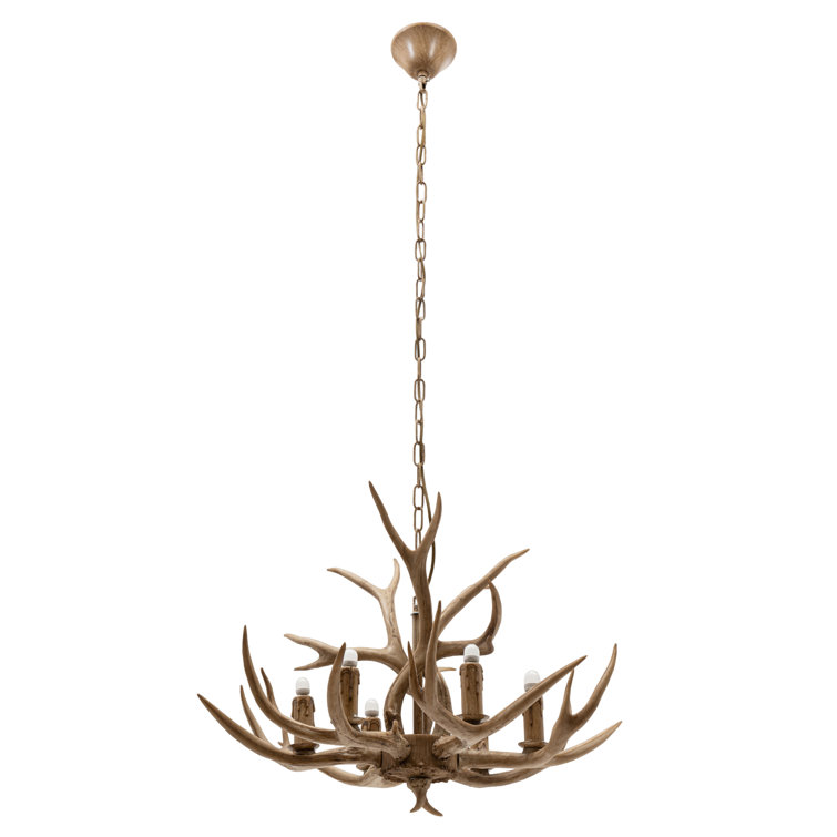 Wayfair deals antler chandelier